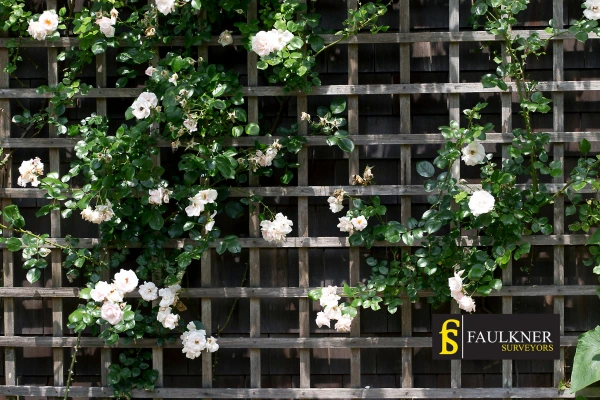 Can I put trellis on my Neighbours garage wall? 2 Do you want to adapt your neighbours garage door and add a trellis Swindon? Talk to Faulkner Surveyor Swindon
